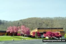 Trường Trung học Allen